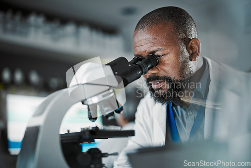Image of Black man scientist, microscope and lab analysis in biodiversity study, vision and research data for innovation. Agriculture science, studying microbiome and laboratory with focus for future goals