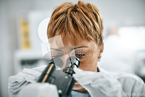 Image of Doctor, face or scientist woman with microscope in science lab on DNA research, medical or medicine data analysis. Zoom, healthcare worker or nurse for health, cancer innovation or virus test study