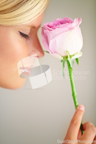 Image of Flower, romance and woman in a studio with a rose for a fragrance, scent or aroma to smell. Floral, cosmetic and female model from Australia with a natural beauty makeup routine by a gray background.