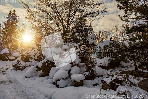 Image of beautiful winter garden covered by snow