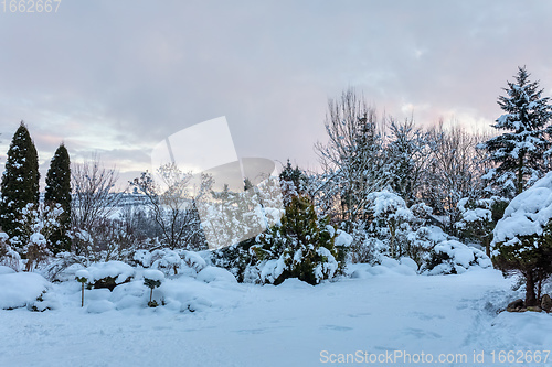 Image of beautiful winter garden covered by snow