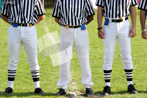 Image of referees 