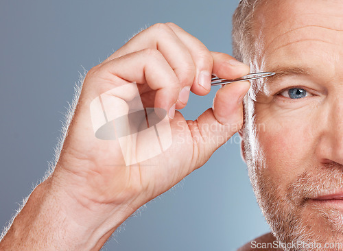 Image of Eyebrow tweezers, microblading and portrait of man on blue background for wellness, skincare and facial. Beauty, cleaning and face of male with tool for grooming, self care and hair removal hygiene