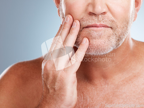 Image of Skincare, beard and man model in a studio for a hygiene, grooming and cosmetic facial routine. Health, wellness and mature male touching his face for a beauty, natural and dermatology treatment.