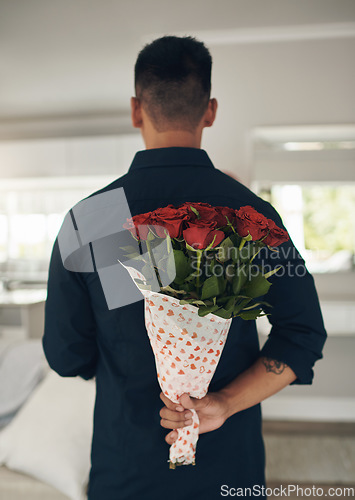 Image of Man, hands and back with red roses for valentines day surprise, gift or present to celebrate date at home. Hand of male with bouquet of flowers in celebration for anniversary or special month of love