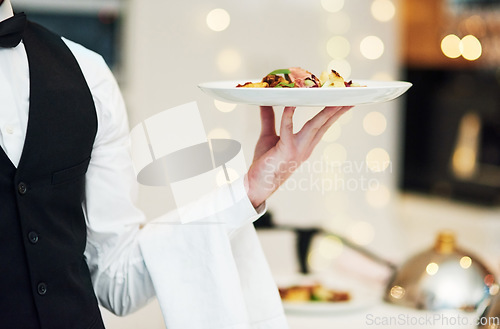 Image of Fine dining, food and waiter serving at a restaurant for a luxury valentines day or anniversary meal. Formal, hospitality service and server with a plate or dish for a fancy special dinner date.