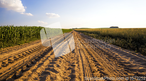 Image of ruts from traffic