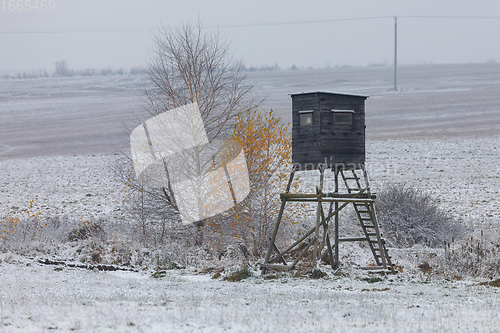 Image of Wooden hunting tower in forest