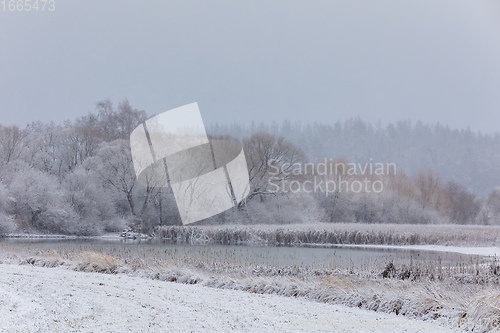 Image of Winter landscape covered with snow