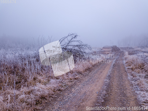 Image of Piled logs of harvested wood in winter landscape