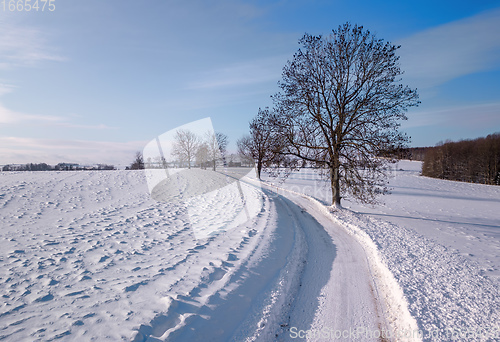 Image of Winter rural road on a sunny frosty day