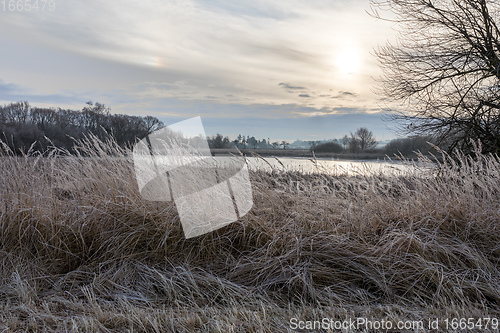 Image of Winter landscape covered with snow