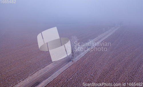 Image of Windy winter road in snow covered fields