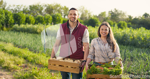 Image of Vegetables box, agriculture and farmer couple portrait in countryside lifestyle, food market production and supply chain. Agro business owner people, seller or supplier with green product harvest
