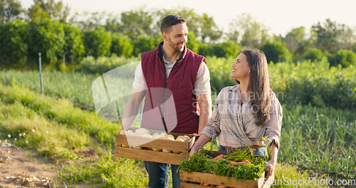 Image of Vegetables box, agriculture and farmer couple portrait in countryside lifestyle, food market production and supply chain. Agro business owner people, seller or supplier with green product harvest