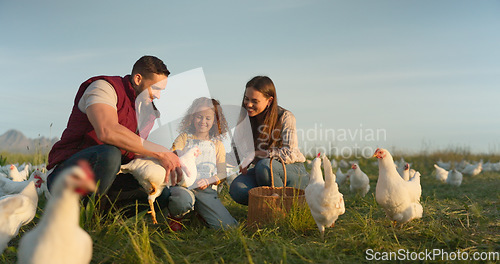 Image of Chicken, farm and family love of happy mom, dad and child enjoy quality time together, talking and bond on countryside field. Poultry farming, free range bird and animal livestock with farmer people