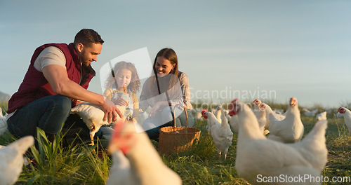 Image of Chicken, farm and family love of happy mom, dad and child enjoy quality time together, talking and bond on countryside field. Poultry farming, free range bird and animal livestock with farmer people