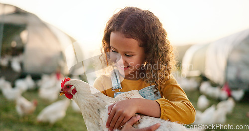 Image of Chicken, smile and girl on a farm learning about agriculture in the countryside of Argentina. Happy, young and sustainable child with an animal, bird or rooster on a field in nature for farming
