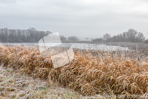 Image of Winter landscape covered with snow