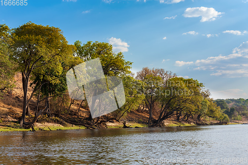 Image of Chobe river landscape Botswana, Africa