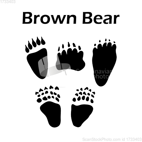 Image of Brown Bear Footprint