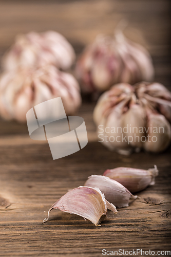 Image of Garlic