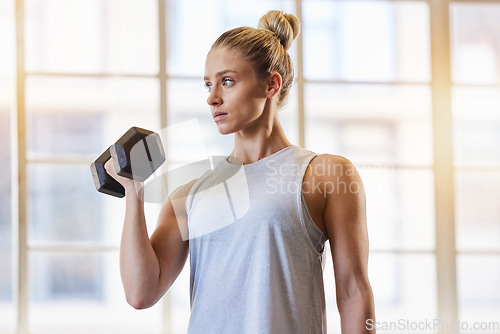Image of Bodybuilder, dumbbell and woman in a gym for training, sports and exercise for wellness. Thinking, sports focus and athlete with weights for fitness and health workout performance for muscle
