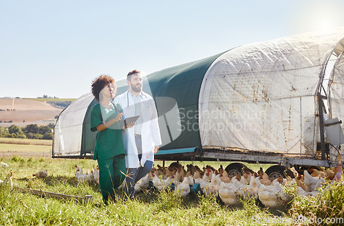 Image of Tablet, agriculture or healthcare with a vet and nurse on a poultry farm for sustainability or treatment. Research, medical or insurance with a man and woman veterinarian team working with chickens