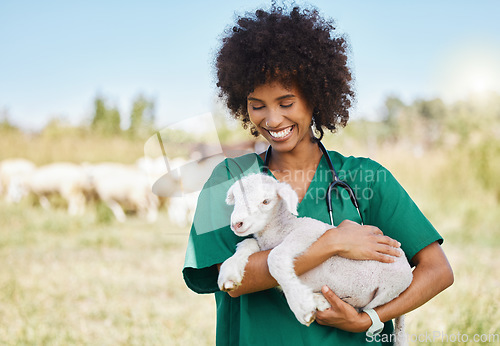 Image of Veterinary, farm and woman holding sheep on livestock field for medical animal checkup. Happy, smile and female vet doctor doing consultation on lamb in agro, sustainable and agriculture countryside.