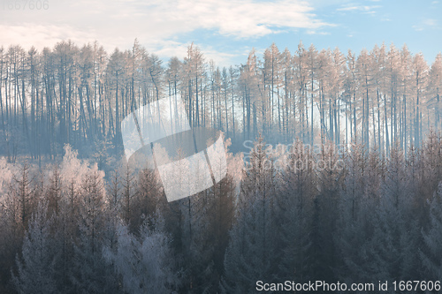 Image of winter landscape Czech Highland