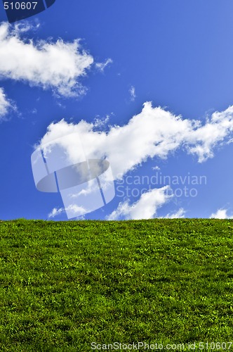 Image of Blue sky and green field