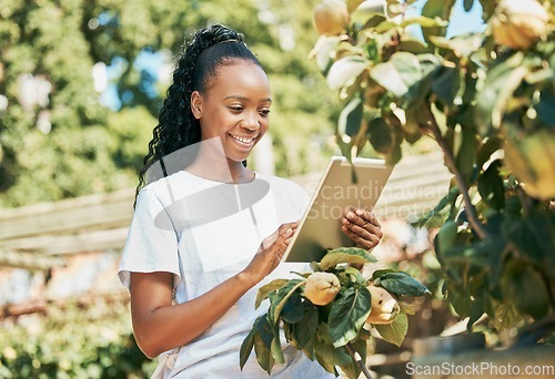 Image of Black woman, tablet and smile for agriculture, organic production or sustainability at farm. Happy African American female farmer with touchscreen for growth or sustainable farming in the countryside