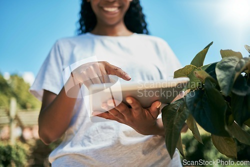 Image of Black woman, hands and tablet with smile for agriculture, eco friendly or sustainability at farm. Hand of African American female holding touchscreen for growth or sustainable countryside farming