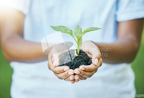 Image of Hands, plants and growth for earth day, sustainability and volunteering in gardening, agriculture or agro farming hope. Green leaves, eco friendly project and sustainable person, natural soil in palm