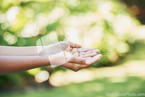 Image of Hands, open and agriculture in care for nature wellness, eco friendly environment in the outdoors. Hand opening in worship for healthy natural sustainability, environmental awareness or clean energy