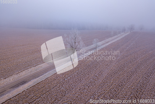 Image of Windy winter road in snow covered fields