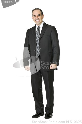 Image of Businessman on white background