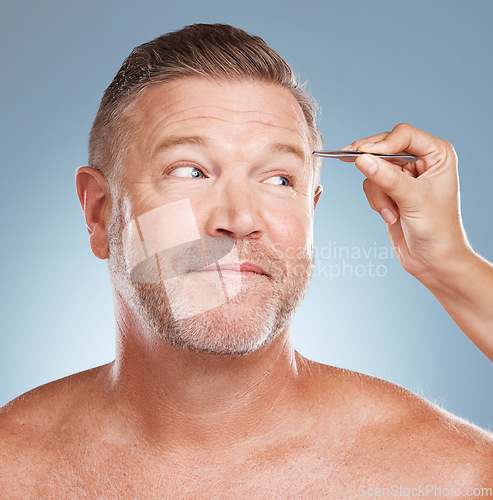 Image of Senior man, face and beauty with tweezers and microblading, grooming and eyebrow on studio background. Cosmetic tools, dermatology and skincare, natural cosmetics and body hair removal for hygiene