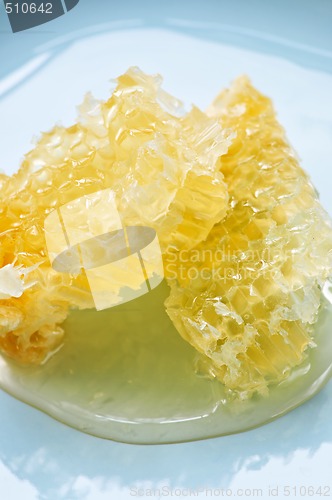 Image of Honey in honeycomb