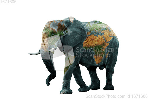 Image of Isolated image of elephant with earth painted on skin.