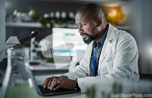 Image of Scientist man, laptop and doing research in a laboratory with information technology and data analytics. Black person or doctor typing online at night for medical science development on internet