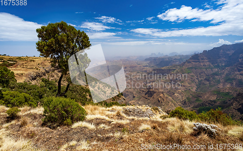 Image of Semien or Simien Mountains, Ethiopia