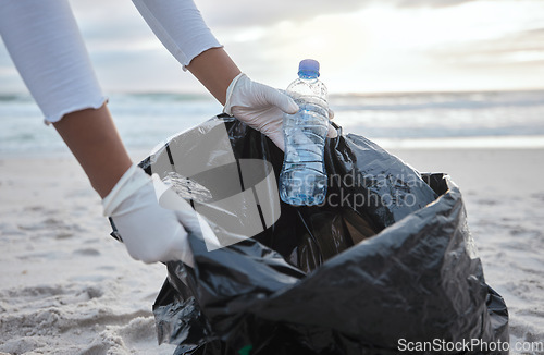 Image of Cleaning, plastic and hands of woman at beach for recycle, environment or earth day. Recycling, sustainability and climate change with charity volunteer and trash for pollution and eco friendly