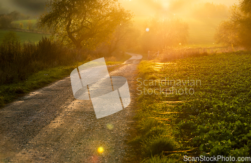 Image of Autumn landscape with road, tree, fields and sunset