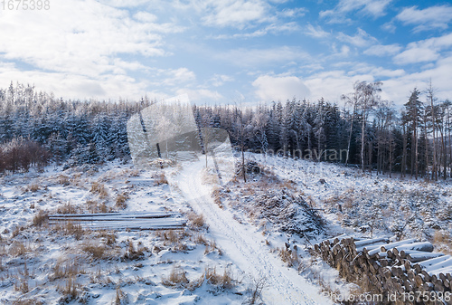 Image of Aerial view of spruce tree in deforested landscape