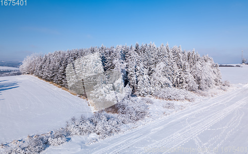 Image of A serene winter landscape with trees covered in snow