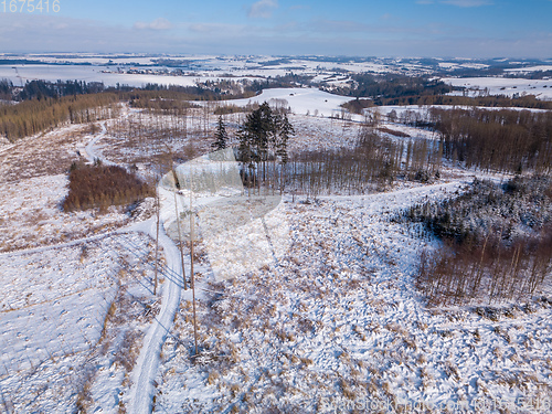 Image of Aerial view of spruce tree in deforested landscape