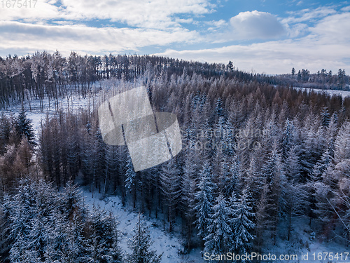 Image of Aerial top down view of beautiful winter forest treetops.