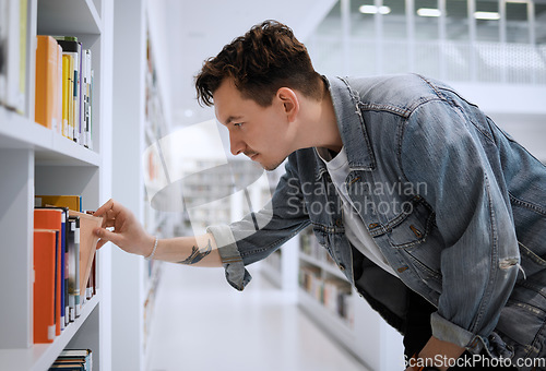 Image of Library search, university student and man looking for university, education and knowledge books. College, students and book on a bookshelf for studying, learning and academic info on campus