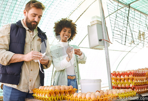 Image of Egg production, chicken farmers and people check barn, stock and logistics of supply chain in food industry. Happy man, woman and workers poultry farming for eggs, inspection and growth of eco export